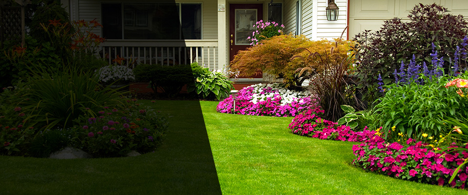Stone Mountain Landscapers