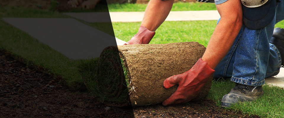 Stone Mountain Landscapers